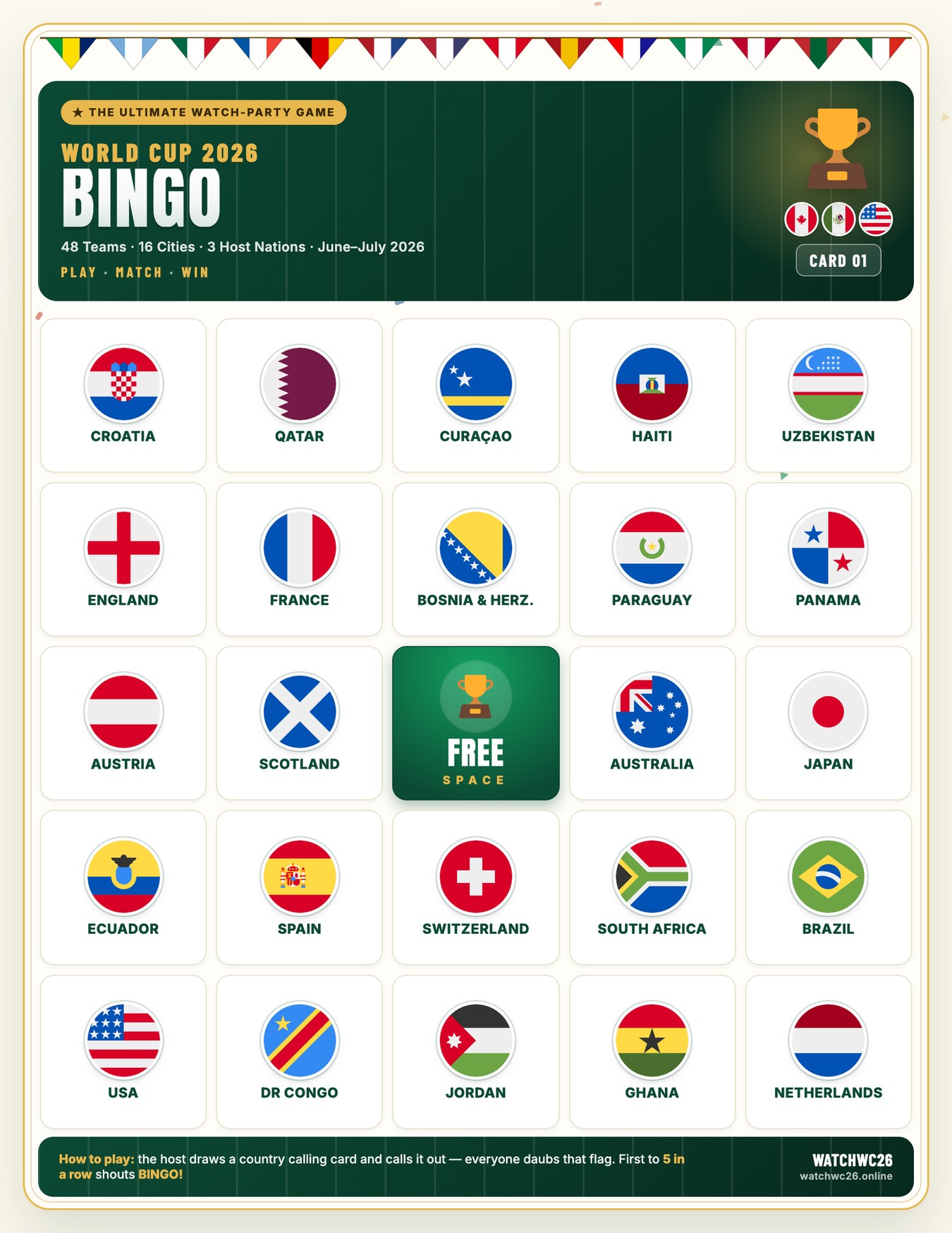 Printable World Cup flag bingo card from the delivered party pack